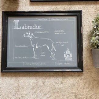 Cuadro dog print labrador