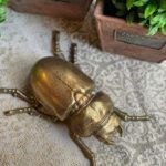 Escarabajo con cuernos chicos