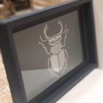 Charola de búro azul marino escarabajo